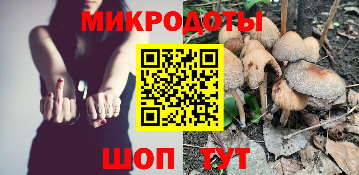 Псилоцибиновые грибы мицелий Кизляр