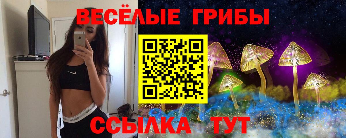 Галлюциногенные грибы ЛСД  Галлюциногенные грибы ЛСД  Вход с VPN  Кизляр 